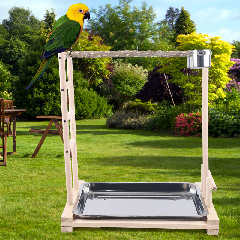 DALELEE Wooden Bird Parrots Play Stand Bird Playground With a Tray Wayfair